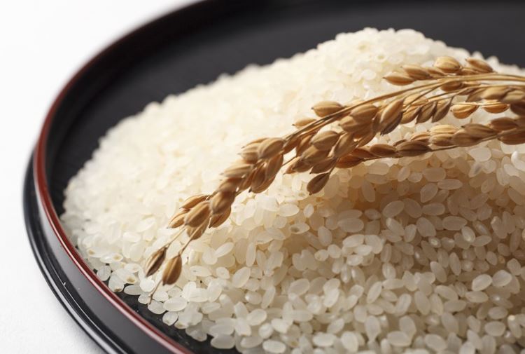 令和5年産【特別栽培米】ササニシキ 白米 5kg